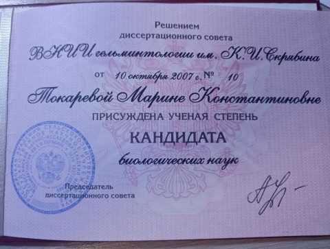 Документ преподавателя Лунева Марина