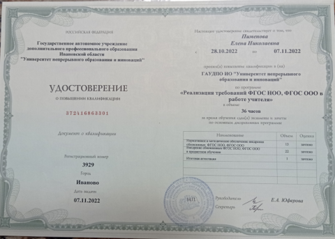 Документ преподавателя Пименова Елена Николаевна