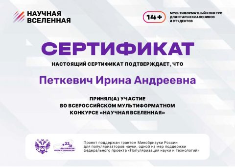 Документ преподавателя Петкевич Ирина