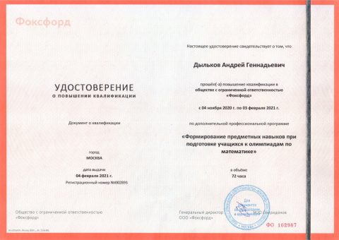 Документ преподавателя Дыльков Андрей Геннадьевич
