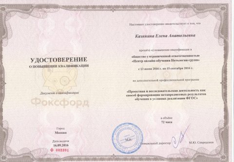 Документ преподавателя Казянина Елена Анатольевна