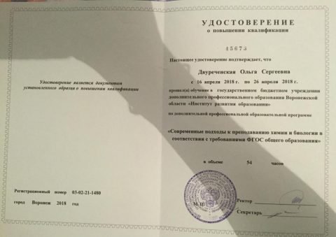 Документ преподавателя Двуреченская Ольга Сергеевна