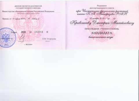 Документ преподавателя Кривошеев Дмитрий Михайлович