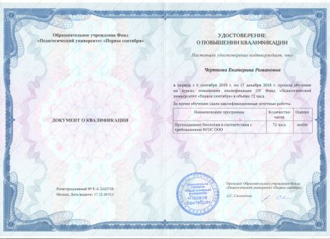 Документ преподавателя Черткова Екатерина Романовна