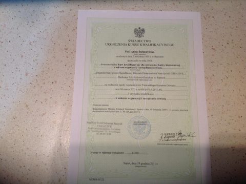 Документ преподавателя BALUCZYNSKA ANNA