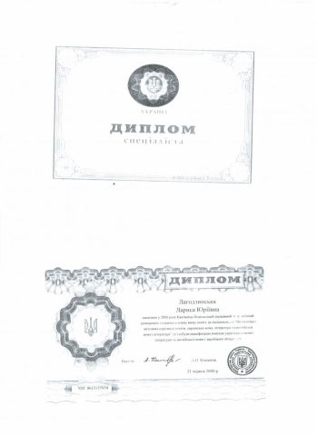 Документ преподавателя Лагодзинская Лариса