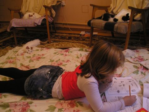 Документ преподавателя Иванова Марина Евгеньевна