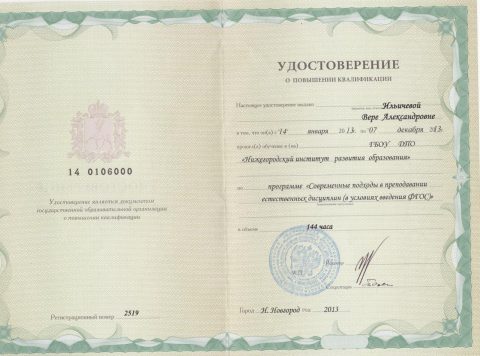 Документ преподавателя Ильичева Вера Александровна