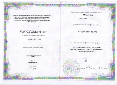 Документ преподавателя Мешалкина Надежда Васильевна