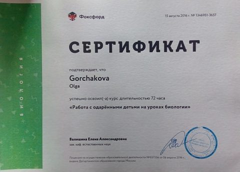Документ преподавателя Горчакова Ольга Николаевна