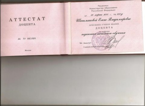 Документ преподавателя Шишмакова Елена Владимировна