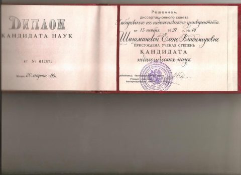 Документ преподавателя Шишмакова Елена Владимировна
