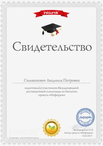 Документ преподавателя Симашкевич Людмила   Петровна