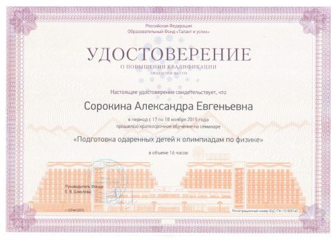 Документ преподавателя Сорокина Александра Евгеньевна