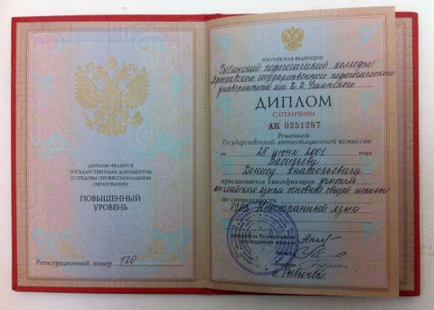 Документ преподавателя Васильев Денис Анатольевич