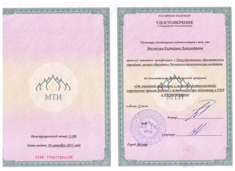 Документ преподавателя Миловская Екатерина Александровна