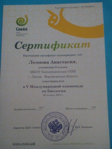 Документ преподавателя Козловская Надежда Владимировна
