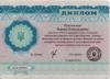 Документ преподавателя Денесюк Марина Александровна
