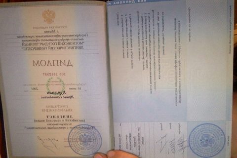 Документ преподавателя Дименштейн Ирина Геннадьевна