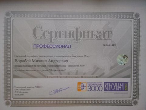 Документ преподавателя Воробей Михаил Андреевич
