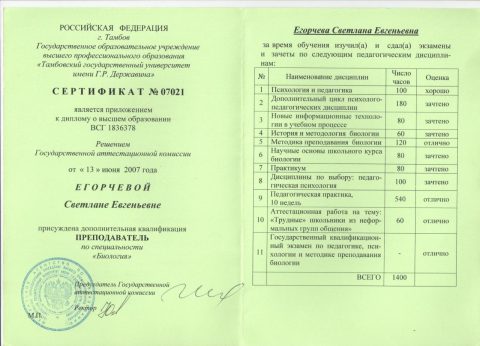 Документ преподавателя Добровольская Светлана Евгеньевна