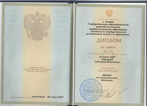 Документ преподавателя Добровольская Светлана Евгеньевна