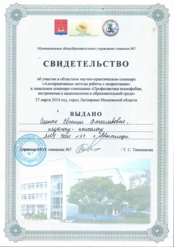 Документ преподавателя Саенко Евгения Вячеславовна