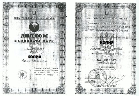 Документ преподавателя Николаева Лариса