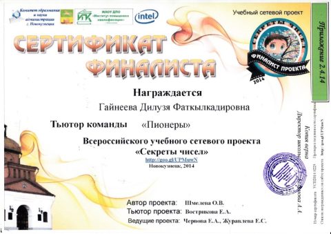 Документ преподавателя Гайнеева Дилузя Фаткылкадировна