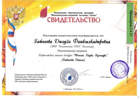 Документ преподавателя Гайнеева Дилузя Фаткылкадировна