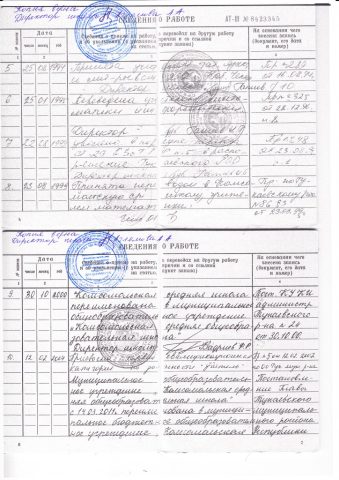 Документ преподавателя Гайнеева Дилузя Фаткылкадировна