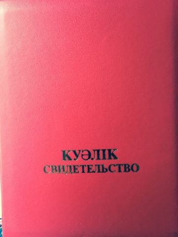 Документ преподавателя Umbetov Shyngys Berikuly