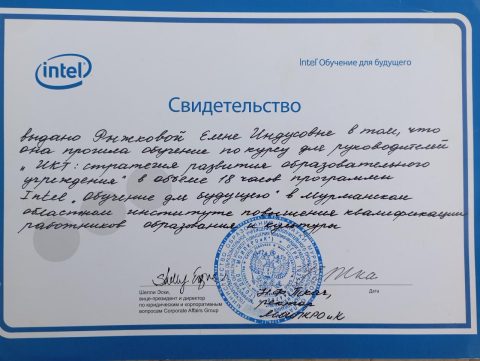 Документ преподавателя Рыжкова Елена Индусовна