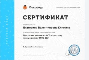 Документ преподавателя Климина Екатерина Валентиновна