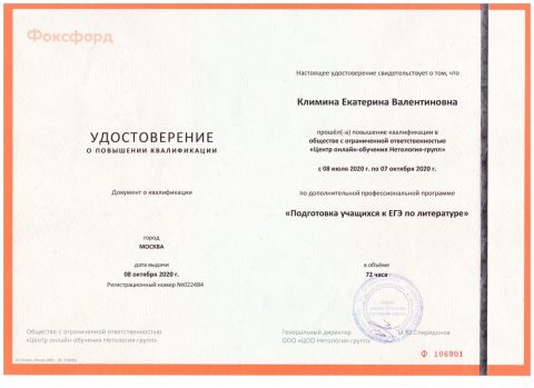 Документ преподавателя Климина Екатерина Валентиновна