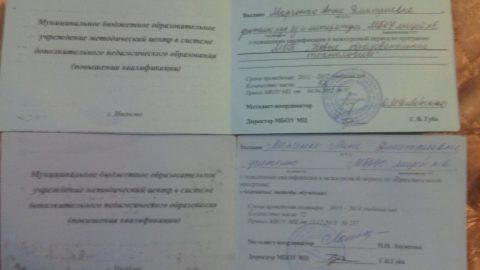 Документ преподавателя Кириллова Анна Дмитриевна
