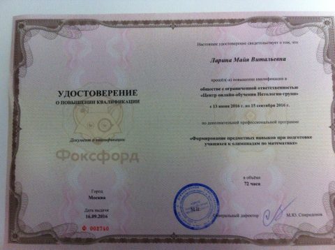 Документ преподавателя Ларина Майя Витальевна