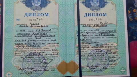 Документ преподавателя Чалая Любовь Васильевна